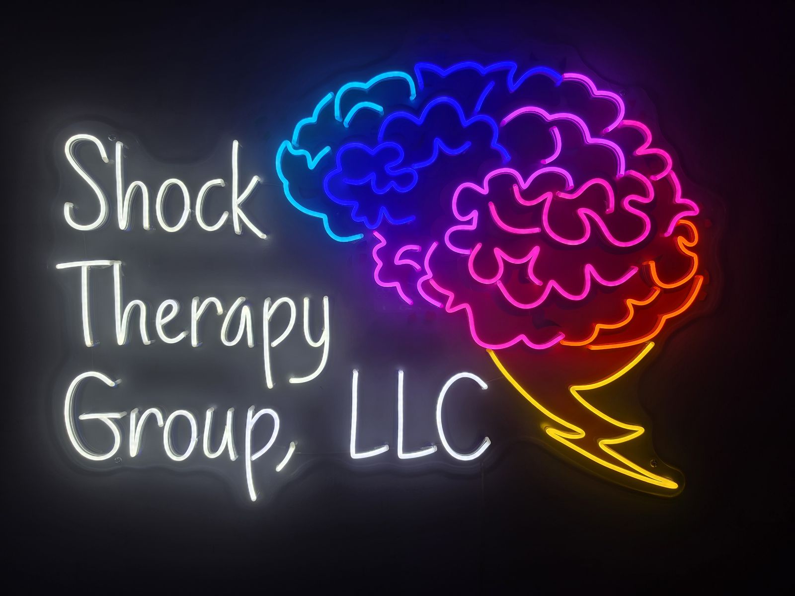 The Shock Therapy Group neon sign in the Fort Wayne office
